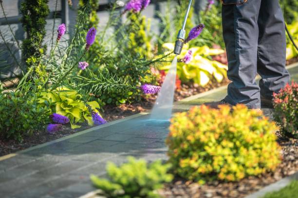 Reliable Harristown, IL Pressure Washing Services Solutions