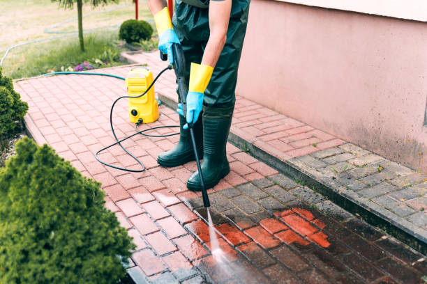 Best Fence Cleaning  in Harristown, IL