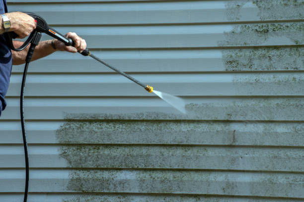Best Patio and Deck Pressure Washing  in Harristown, IL
