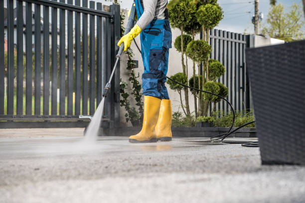 Best Gutter Cleaning  in Harristown, IL